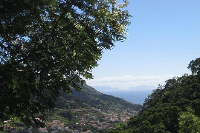 Maroços Mimosa Valley Levada Walk from Funchal - Maroços Levada Walk: why this route feels different