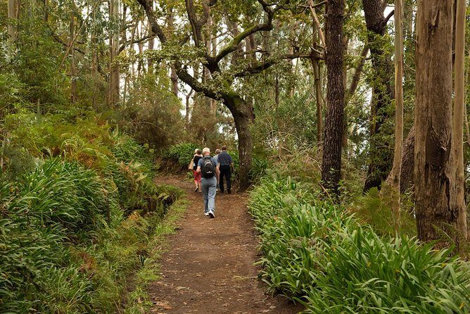Mini -Combo East Challenge (Jeep & Levada Walk)- Shared Tour - Jeep safari meets levada walk: the value of doing two styles of Madeira