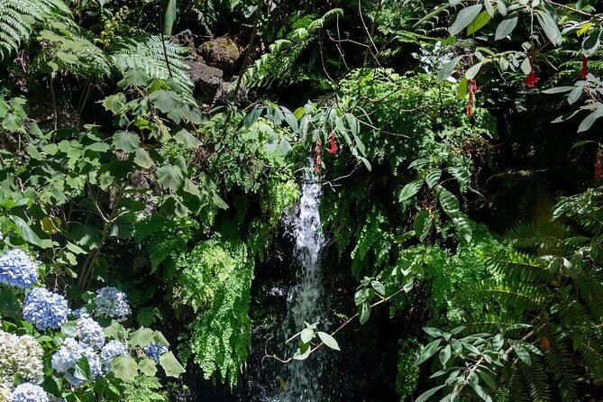 Monte Palace Tropical Garden tour with Cable Car - Hotel pickup around Funchal: convenient, but show up early