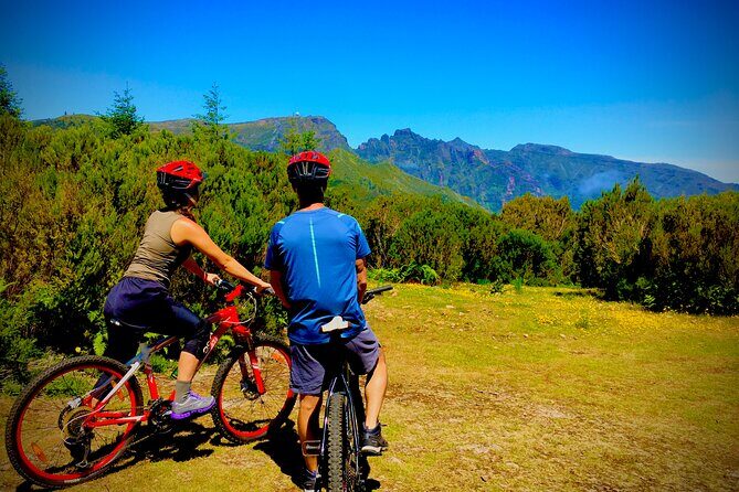 Mountain Biking Tour - Beginner Easy - The smooth descent and the Laurel forest single-track: confidence without chaos