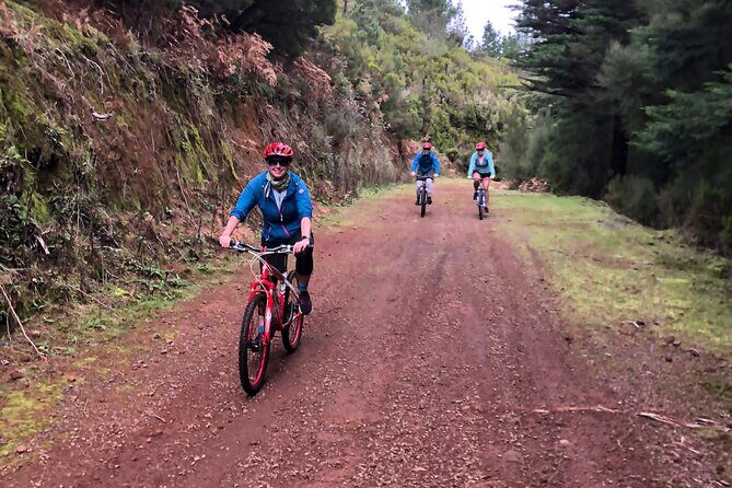 Mountain Biking Tour - Beginner Easy - Trail difficulty: how “easy” feels on real Madeira terrain
