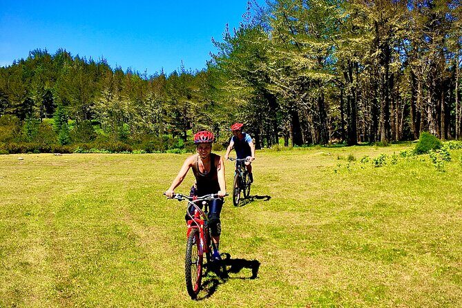 Mountain Biking Tour - Beginner Easy - Price and value: what $78.10 covers on this 4–5 hour outing