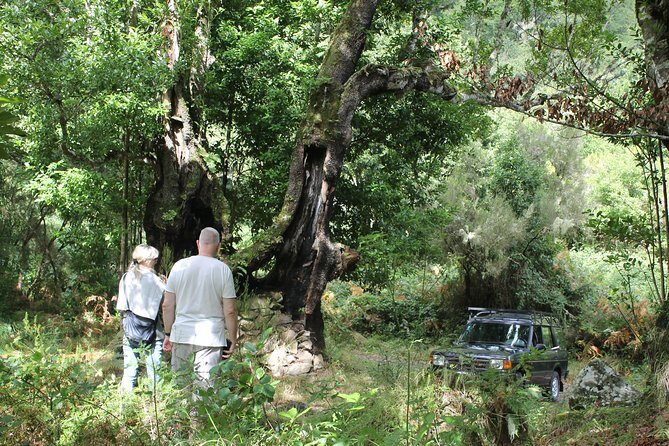 North Tour & Wine Tasting - 4x4 (Small Groups) - Cabanas mirador: the north coast view you’ll feel in your chest