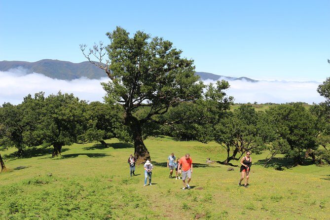 Northwest Terraces and Volcanic Pools 4x4 Full Day Tour - Ribeira da Janela: cliffs, viewpoints, and the north’s mood
