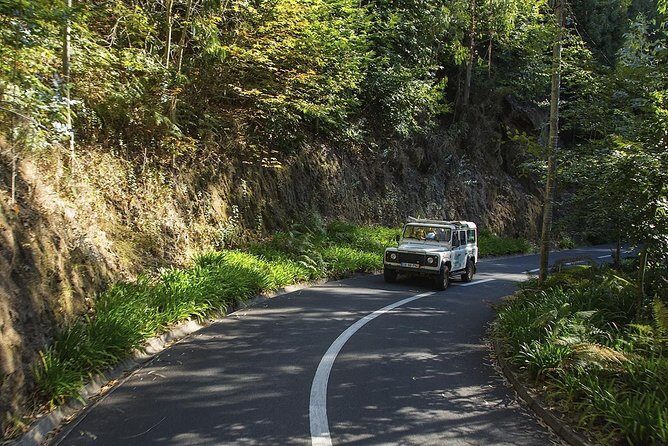 Nun's Valley & Sea Cliff - Half Day - Shared Tour - Câmara de Lobos: quick time in a classic fishing village