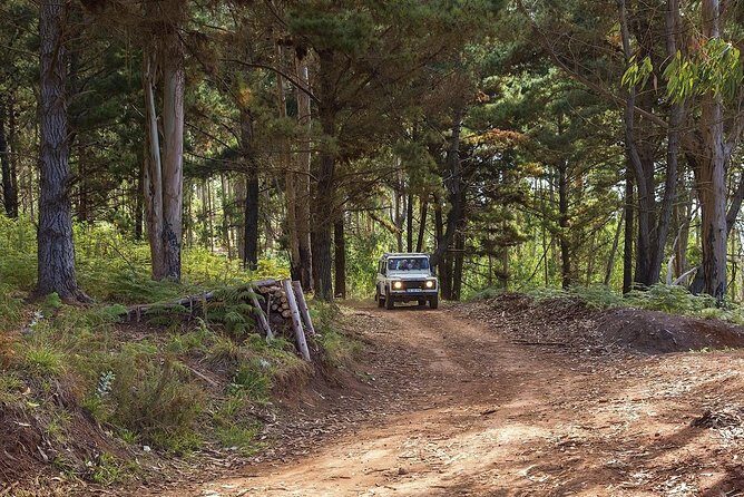 Nun's Valley & Sea Cliff - Half Day - Shared Tour - Price and value: what $56.47 gets you in real life