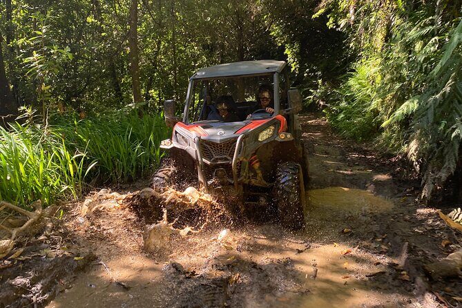 Off-Road Buggy Driving Experience - Madeira’s Laurisilva by buggy: the setting is the whole point