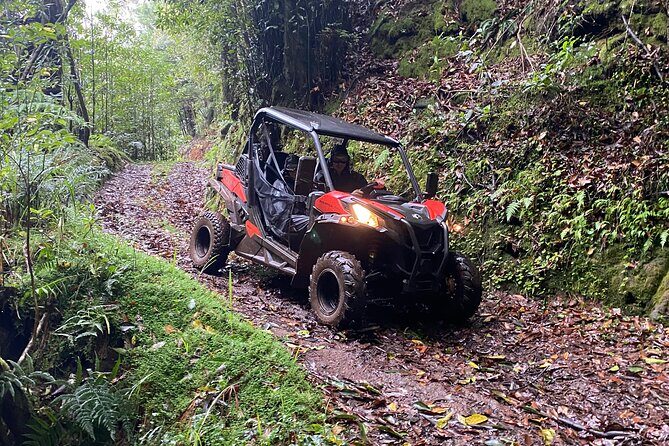 Off-Road Buggy Driving Experience - Price and value: is $90.11 worth two hours in the forest?