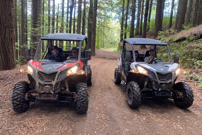 Off-Road Buggy Driving Experience - The 2-hour Laurissilva Forest drive: what the ride feels like