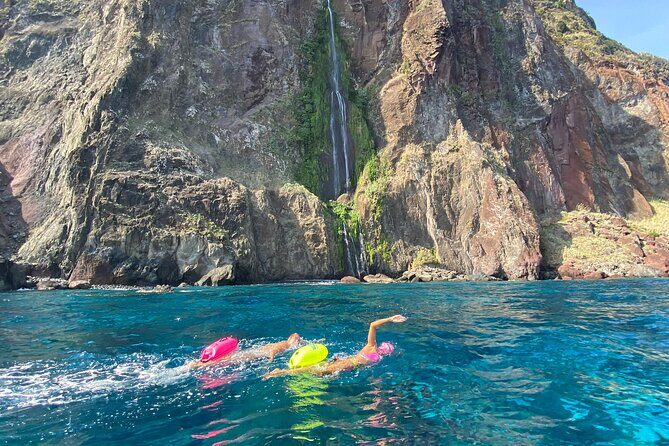 Open-Water Swimming in Madeira - Key Highlights You’ll Care About