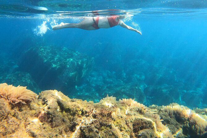 Open-Water Swimming in Madeira - Safety Briefing First: How They Make It Feel Manageable
