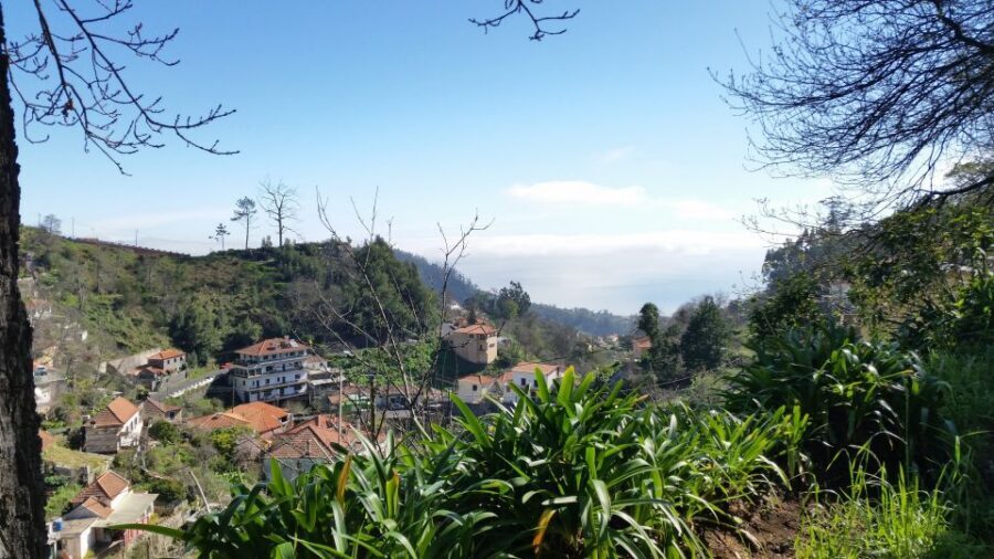 Paradise Valley half-day morning walk. - Why Paradise Valley works so well for a Madeira morning