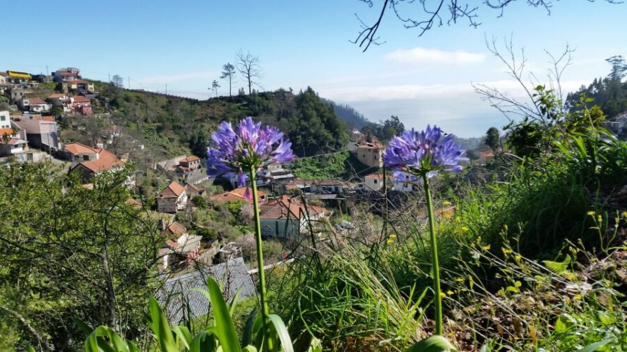 Paradise Valley half-day morning walk. - Terraces and agriculture: the Madeira story in the dirt