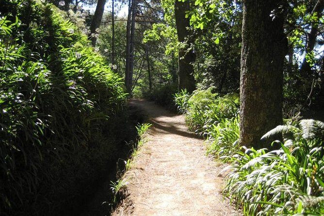 Paradise Valley - Levada Walk - Key highlights worth knowing