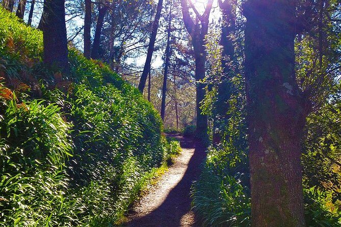 Paradise Valley - Levada Walk - Views over Funchal and Camacha without turning it into a summit day