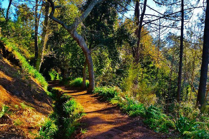 Paradise Valley - Levada Walk - Camacha finish: handicrafts, culture, and a proper village stop