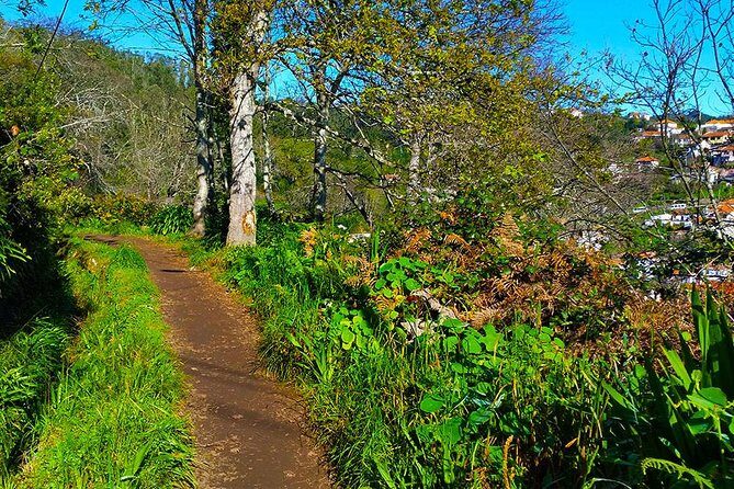 Paradise Valley - Levada Walk - Price and value: is $39.54 per person worth it?