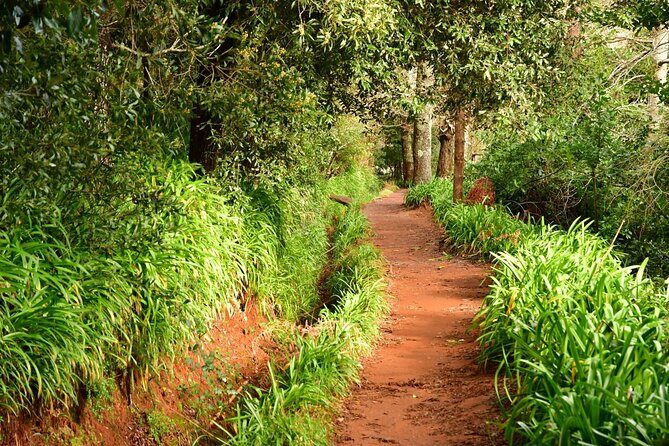 Paradise Valley Madeira Island Walk - Key Highlights You’ll Feel on the Trail