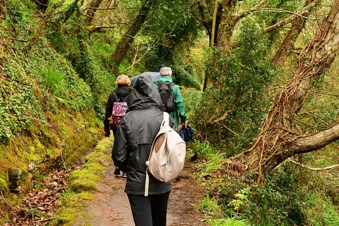 Paradise Valley Madeira Island Walk - Paradise Valley Madeira Walk: What This Levade Route Is Really Like