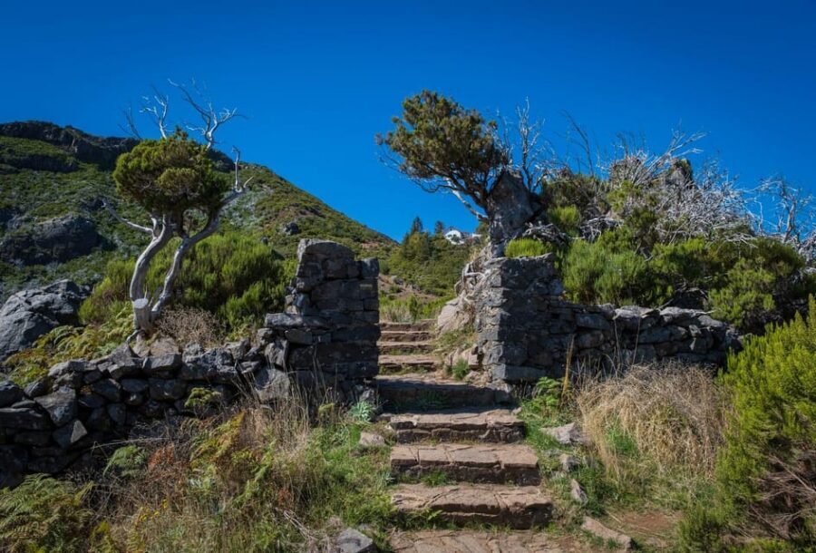 Pico Areeiro to Pico Ruivo Madeira Island Walk - What to bring: shoes and a windbreaker are non-negotiable