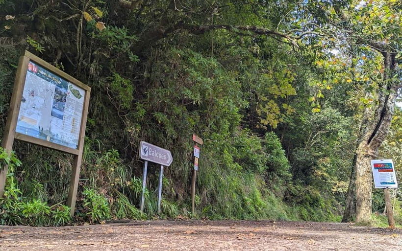 Pico do Arieiro in 4h: Immersive Private Experience (Cabrio) - Key highlights worth planning around