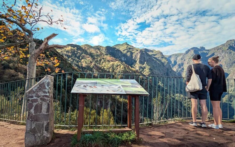 Pico do Arieiro in 4h: Immersive Private Experience (Cabrio) - Funchal Ecological Park (UNESCO) and why the nature talk actually matters