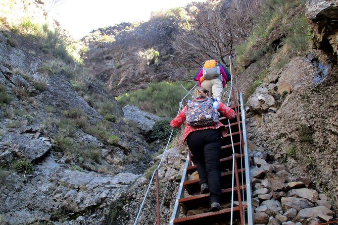 Pico do Arieiro - Pico Ruivo - Achada do Teixeira Walk - Transport Back to Funchal: Ending Where You Started