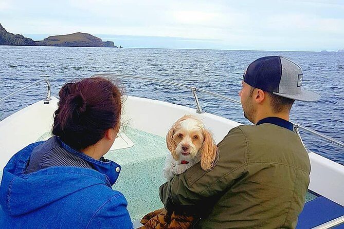 Ponta de São Lourenço Boat Tour - Group size, language, and how to get the most out of it