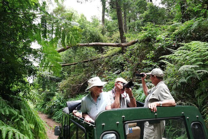 Porto Moniz - Private Full-Day - Safari 4x4 Tour - NorthWest - The private UMM jeep: open-air views with a weather cover