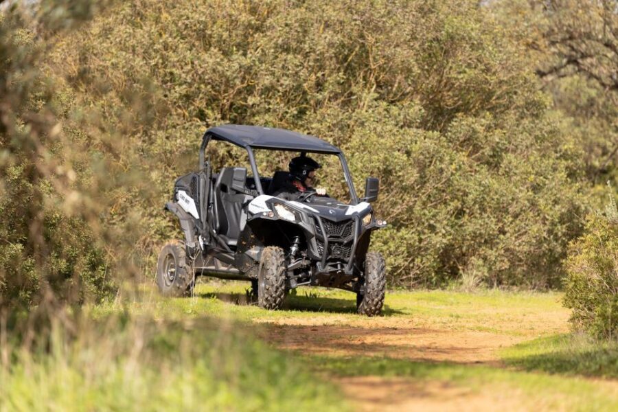 Porto Santo: 180 Minutes Off-Road Buggy Tour - Key points at a glance