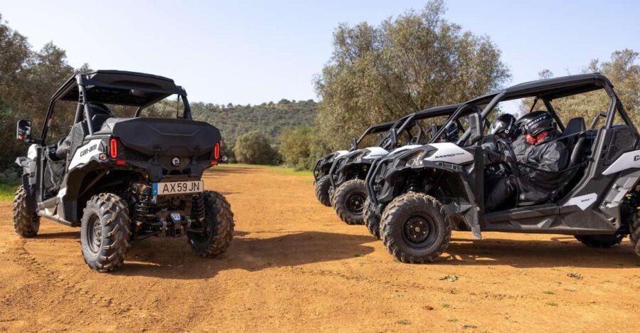 Porto Santo: 180 Minutes Off-Road Buggy Tour - First-time off-road on Porto Santo, with a calm pace