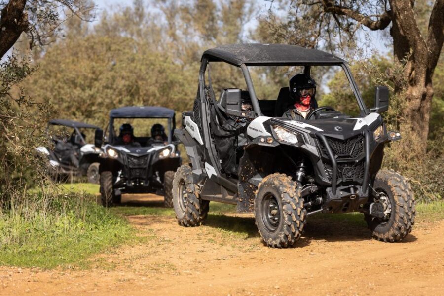 Porto Santo: 180 Minutes Off-Road Buggy Tour - What you get for $188: value beyond the buggy