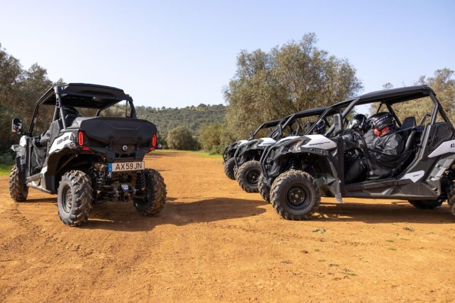 Porto Santo: 180 Minutes Off-Road Buggy Tour - Guides make the difference: what I’d watch for in their style