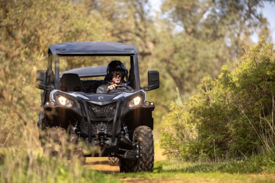 Porto Santo: 180 Minutes Off-Road Buggy Tour - Who should book this buggy tour (and who should skip it)