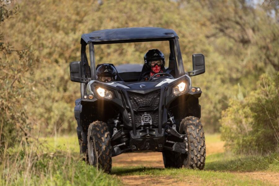 Porto Santo: 180 Minutes Off-Road Buggy Tour - Should you book Porto Santo 180 Minutes Off-Road Buggy Tour?