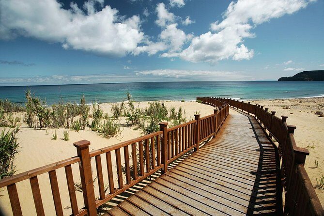 Porto Santo One-Day Cruise and Tour - Group size, vehicles, and the pace you should expect