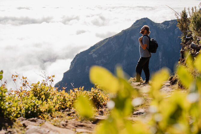 PR1 Pico do Arieiro Self-Guided Hiking Transfer (Morning slot) - Why This Morning Transfer Beats DIY Logistics