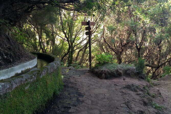 PR6 25 Fountains/Risco Levada Walk - Levada das 25 Fontes: where the waterfalls do the talking