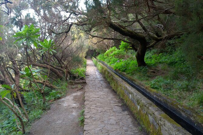 PR6 25 Fountains/Risco Levada Walk - Levada do Risco finish: the “capstone” viewpoint feel