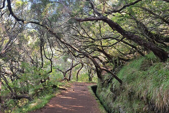 PR6 & PR6.1 25 Fontes & Risco Levada Self-Guided Hiking Rabaçal - Key Things to Know Before You Go