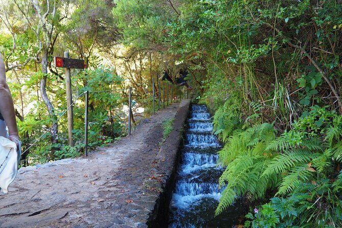 PR6 & PR6.1 25 Fontes & Risco Levada Self-Guided Hiking Rabaçal - Timing and Crowd Strategy: Why Early Matters