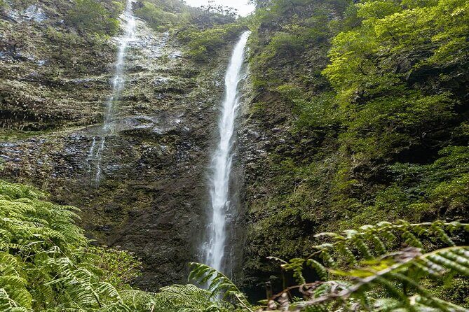 PR9 Caldeirão Verde Queimadas Levada Self-Guided Hiking Transfer - Stop 2: the Caldeirão Verde levada hike (Queimadas to Pico das Pedras)