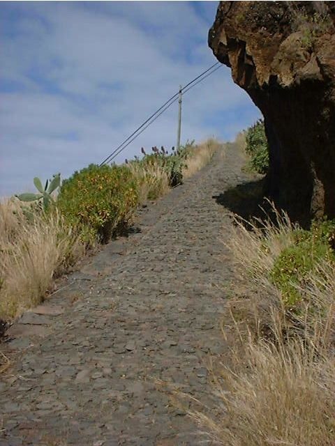 Prazeres: Full-Day Nature Walk - Key highlights at a glance