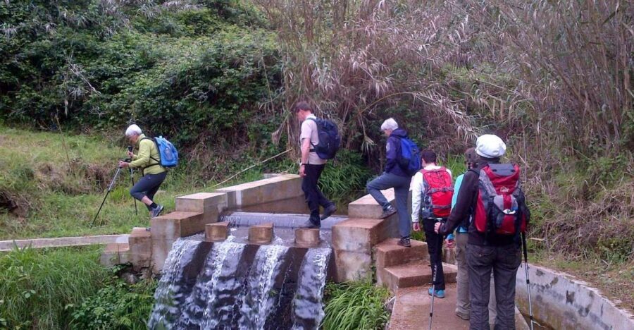 Prazeres: Full-Day Nature Walk - The far west of Madeira: where cliffs, valleys, and villages line up