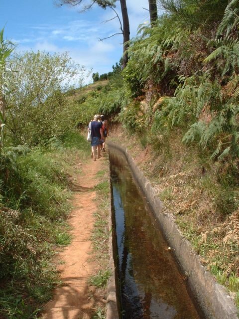 Prazeres: Full-Day Nature Walk - From Prazeres to Ponta do Pargo: how the route feels on your feet