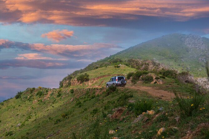Private 4x4 Jeep Half Day - Picturesque Peaks, Vineyards, Skywalk - Stop 4: Through the vineyards and the Henriques & Henriques stop