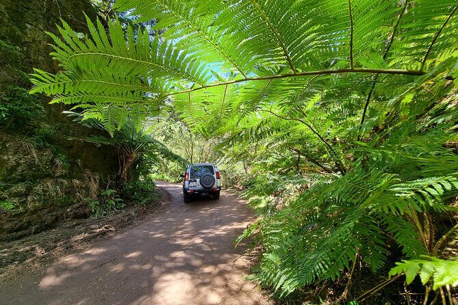 Private 4x4 Jeep Half Day - Picturesque Peaks, Vineyards, Skywalk - The guide factor: Edgar’s English, questions, and customization