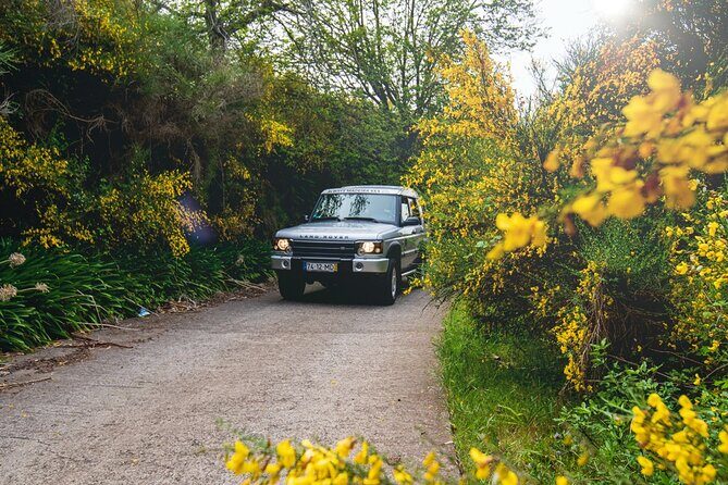Private 4x4 Jeep Half Day - Picturesque Peaks, Vineyards, Skywalk - Time and pace: how the itinerary feels in real life
