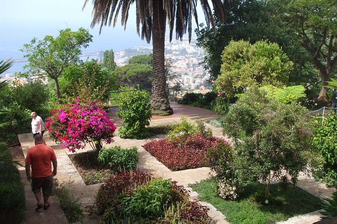 Private Botanical Garden Tour - Starting at the central market: a smart way to get your bearings
