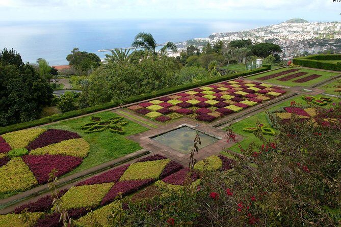 Private Botanical Garden Tour - Madeira Botanical Garden in 1 hour: perfect timing, not a rushed blur